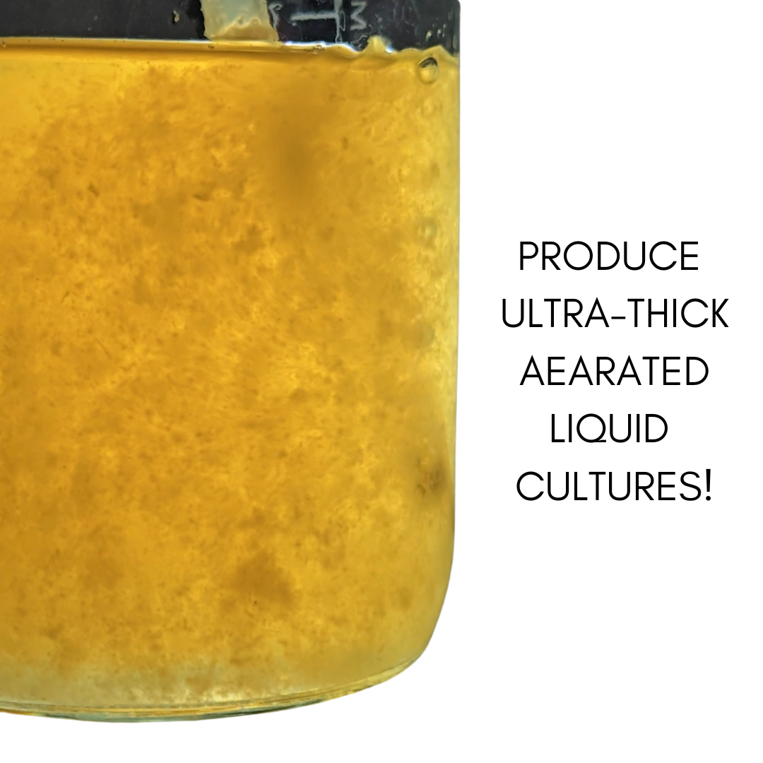 Aerated Liquid Culture Bottle