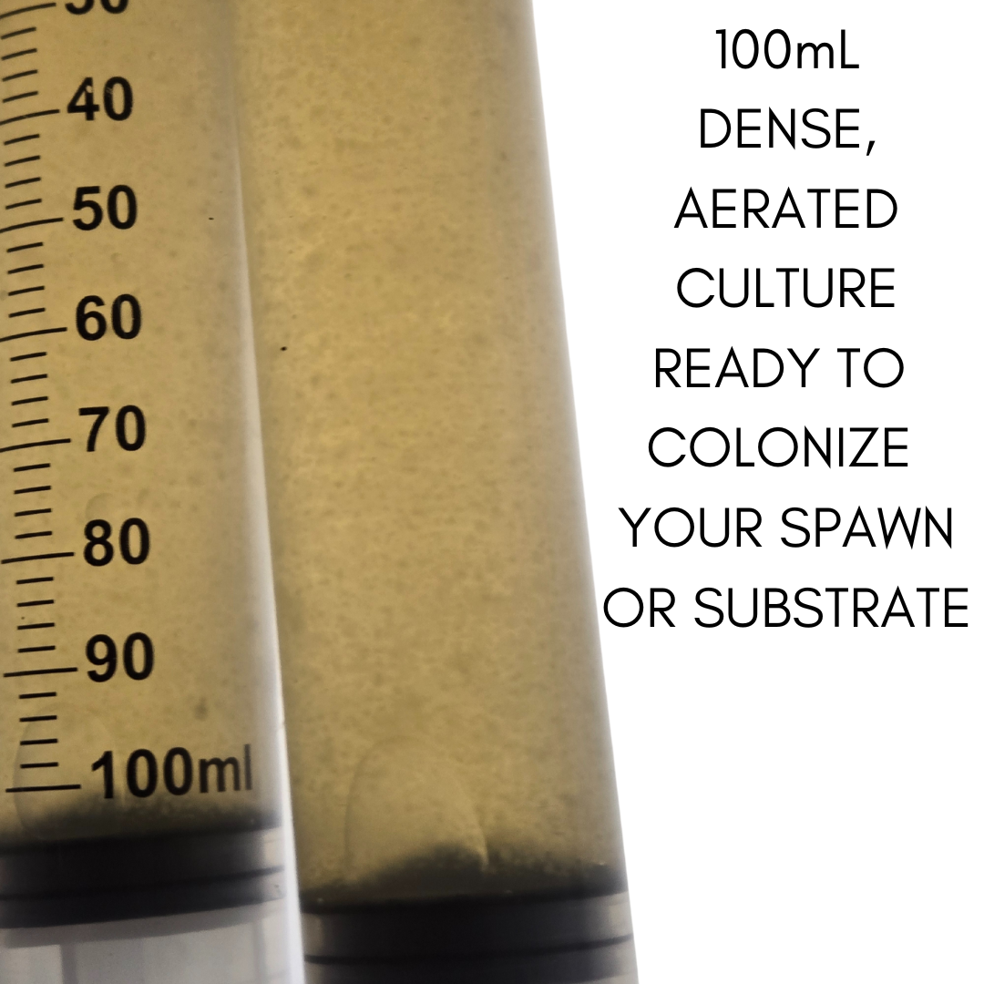 100ml Pink Oyster Syringe
