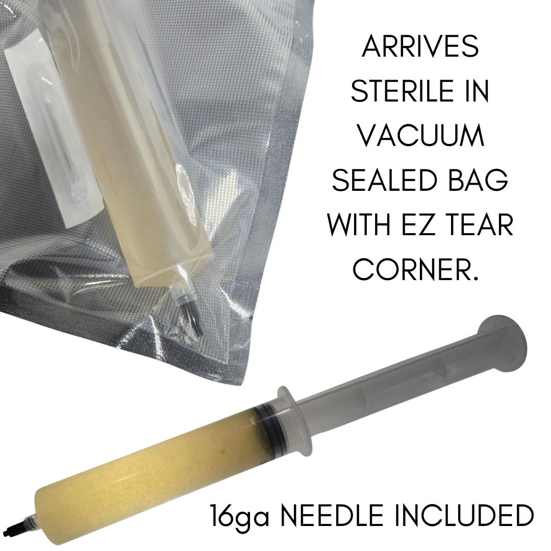 100ml Black King Syringe