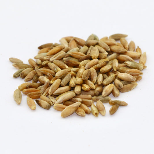 Organic Rye (1lb)