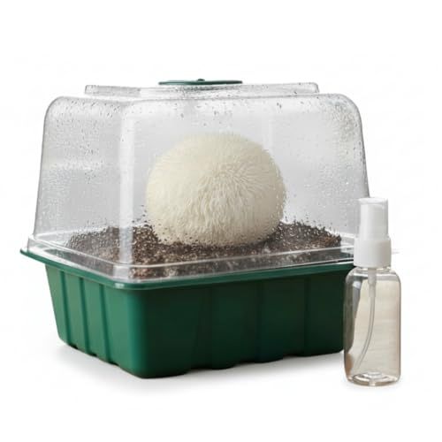 Lion's Mane Countertop Mushroom Grow Kit | Spray & Grow Kit with Mini Greenhouse | Non-GMO, Beginner Friendly & Easy to Use | Grow Your Mushrooms at Home | Made in The USA